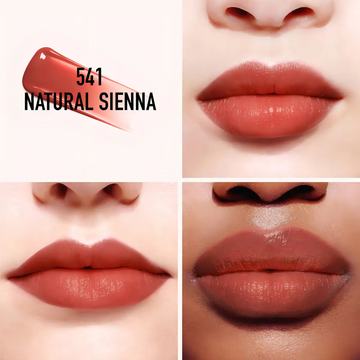 Labial Dior Addict Lip Tint 541 Natural Sienna