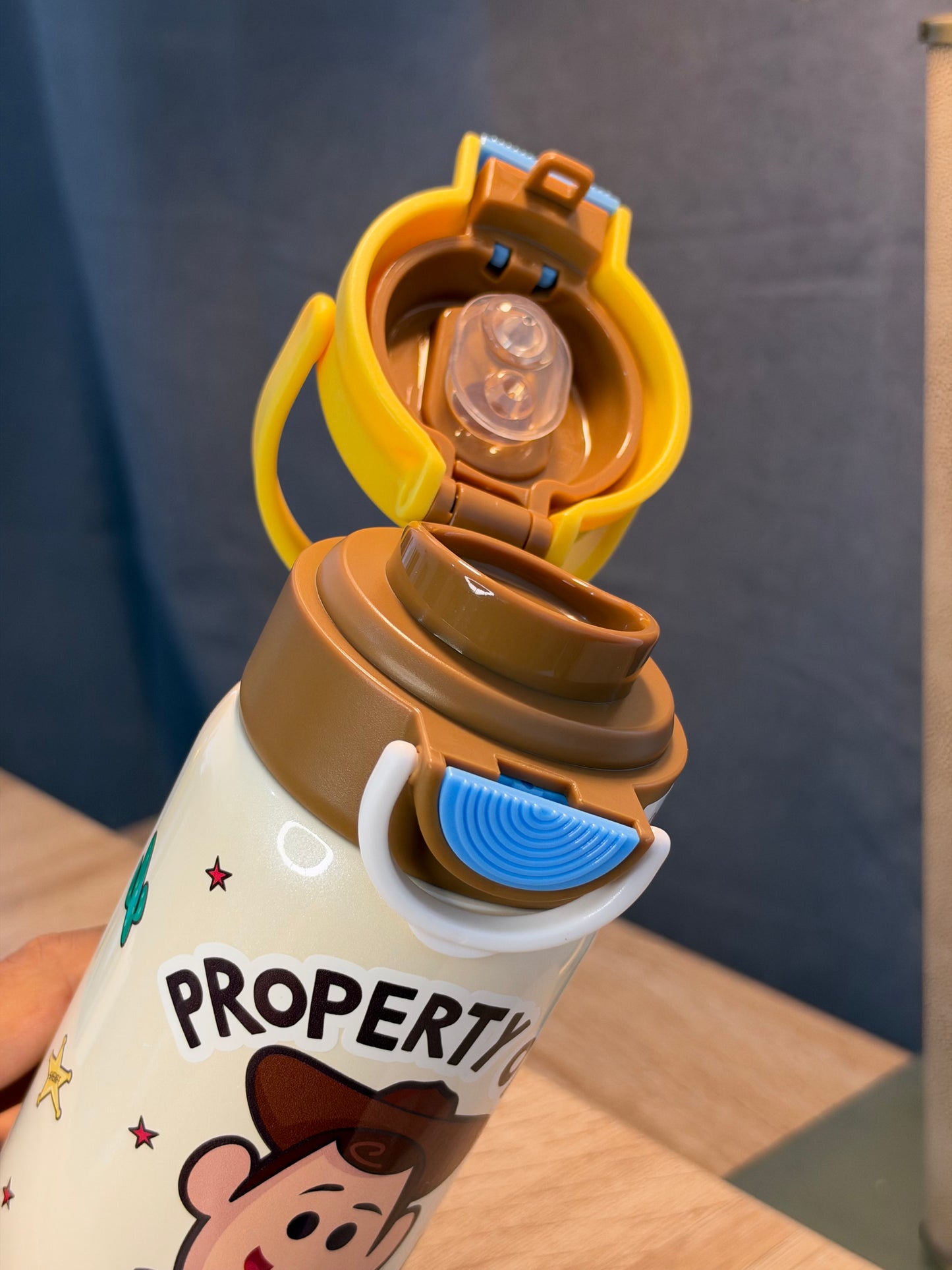 TERMO TOY STORY Woody 550ML