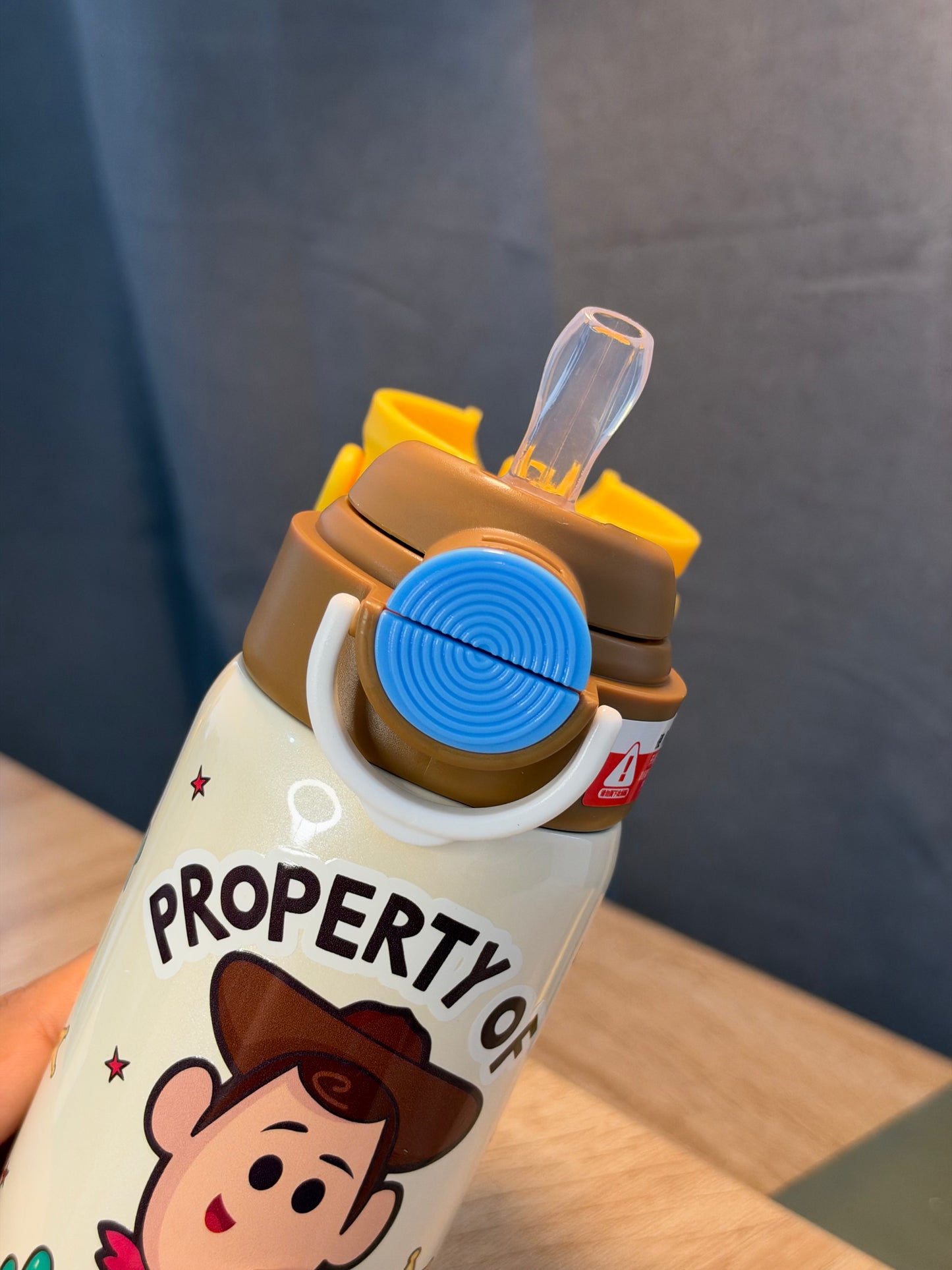 TERMO TOY STORY Woody 550ML