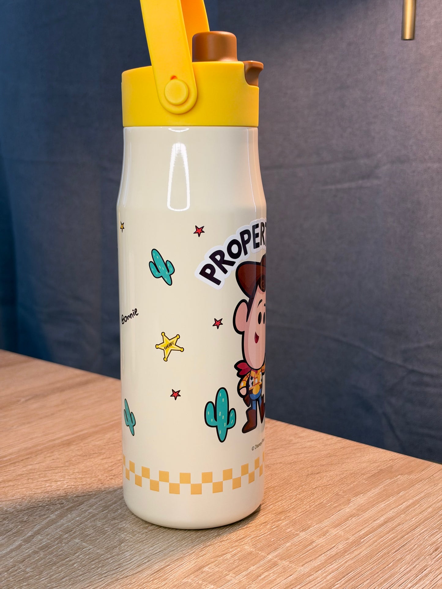TERMO TOY STORY Woody 700ML