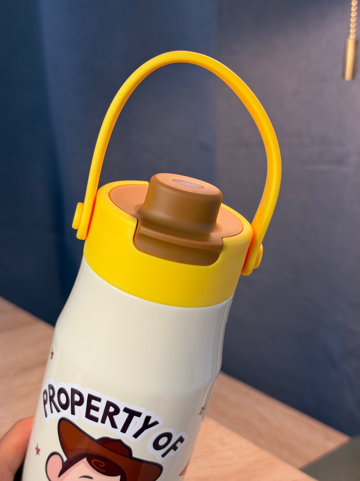 TERMO TOY STORY Woody 700ML