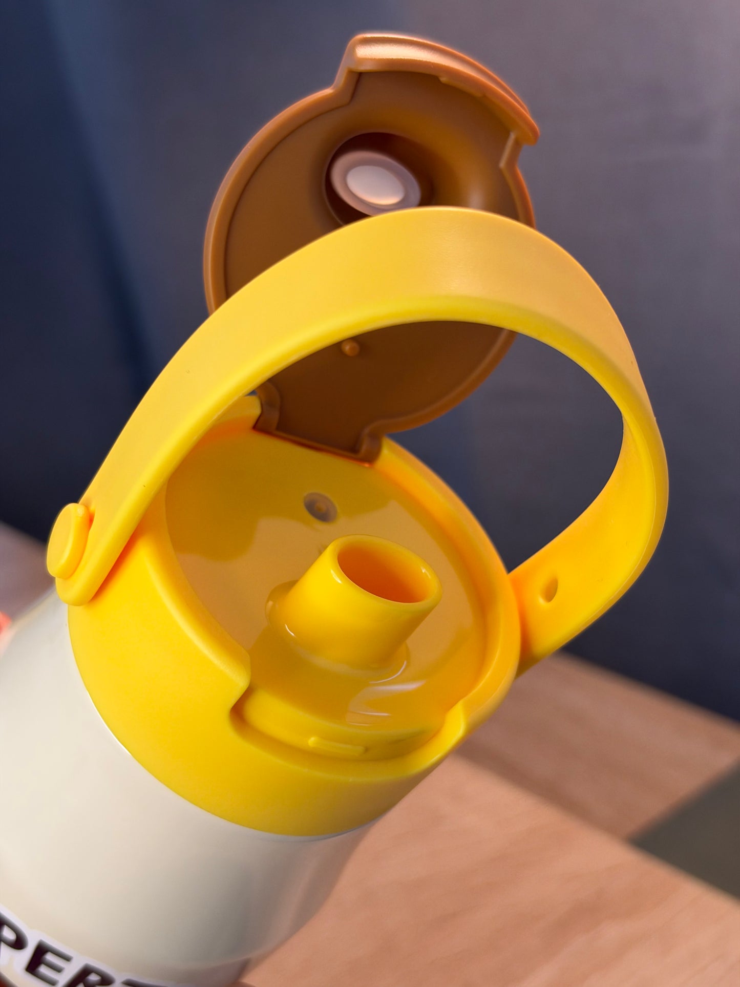 TERMO TOY STORY Woody 700ML